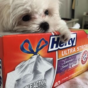 Meet your Posher, Vicki